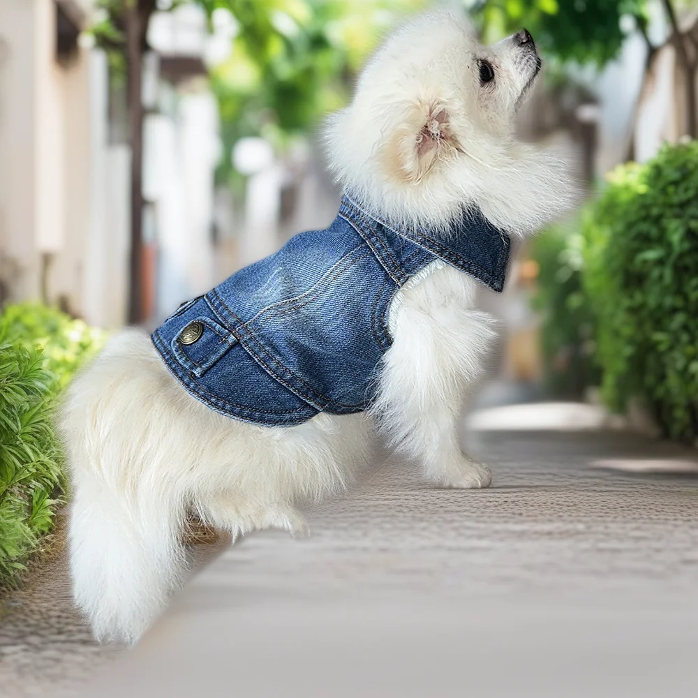 

Dog Jean Jacket for Small & Medium Dogs - Stylish Denim Hoodie Vest for Boys, Summer Pet Costume, Perfect for Cats & Puppies