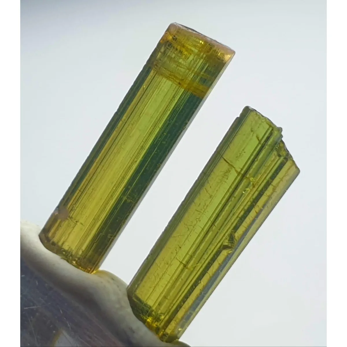 Brazilian Elbaite Crystal Samples, 10g 5-15mm Mixed Colors, Display Box for Desk Decor & Natural Stone Collection