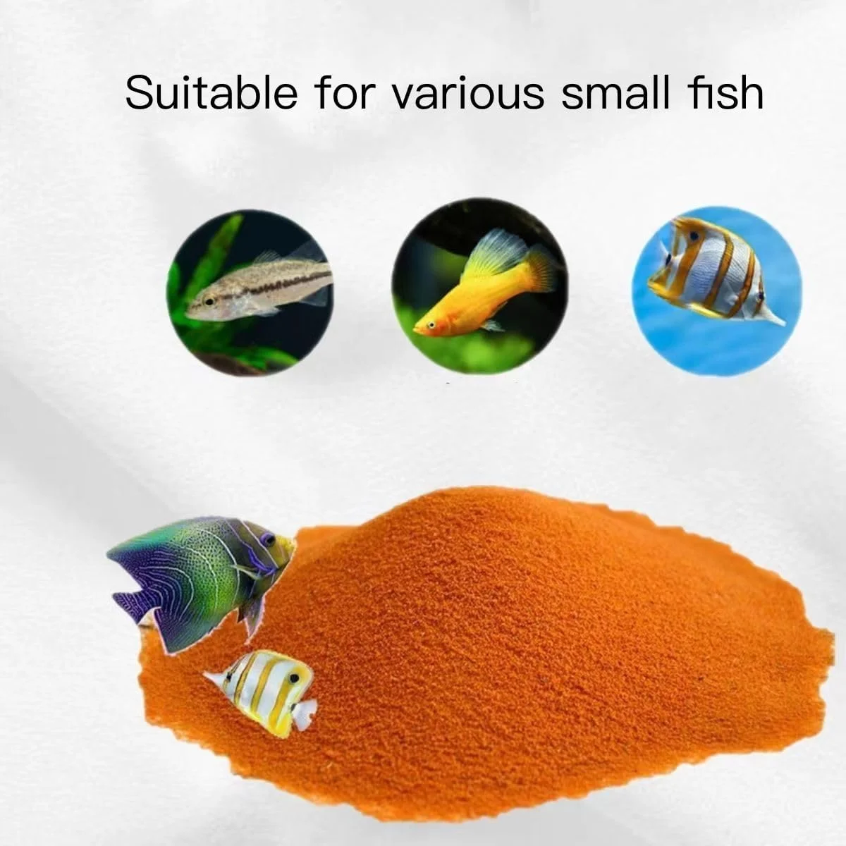 Uova di Artemia Decapsulate Pr - Aquarium Fish Vitamin recensione e prezzo