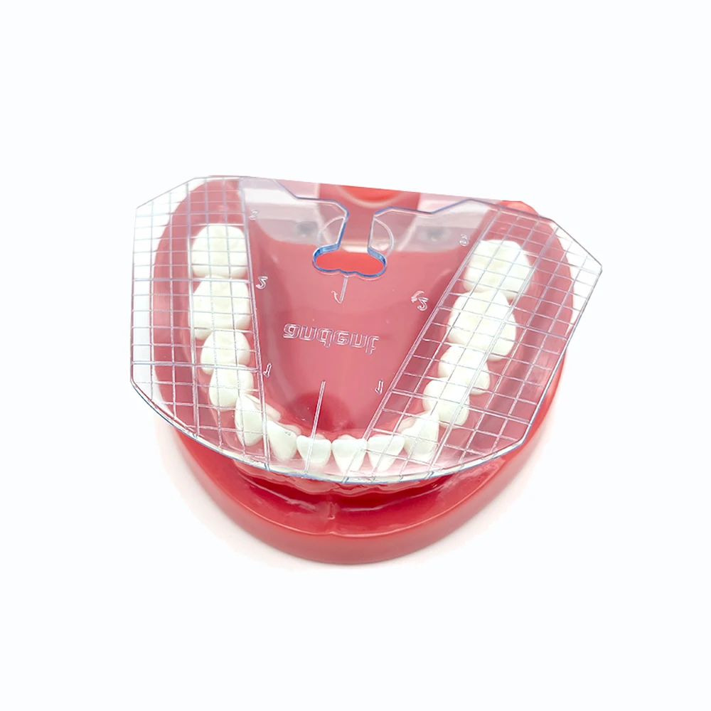 

Dental Guide Plate Teeth Arrangement On Denture for Complete Denture Alignment Dental Lab Measurement Tools