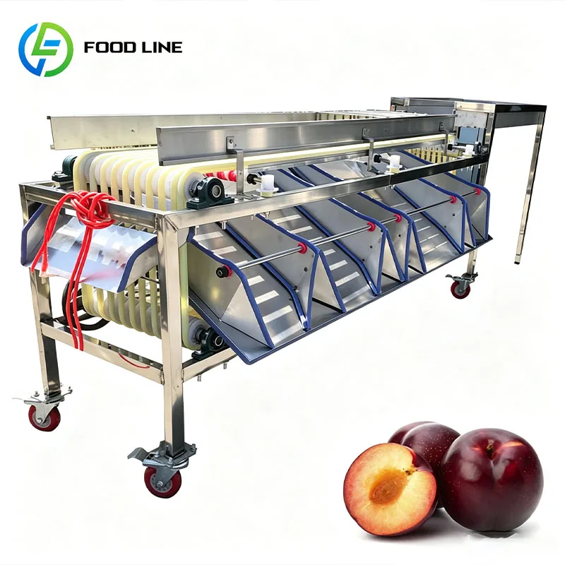 Vegetable Grading Machine Produce Sorter Fruit Grader for Potato Onion Carrot Tomato Garlic Customized