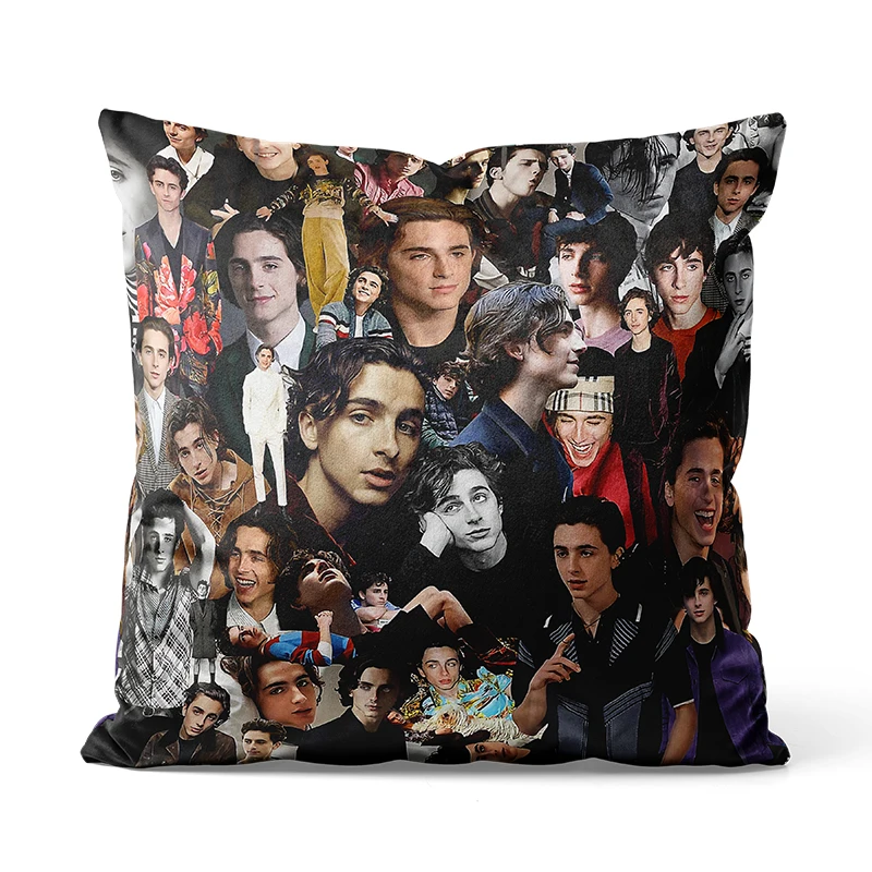 Gaslight Gatekeep Girlboss Timothee Chalamet Photo Collage Throw Pillow Covers Cushion Cases Pillowcases for Sofa 45cm x 45cm