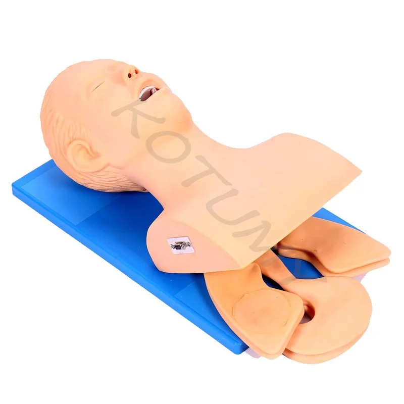 Imagem -06 - Intubação Manequim Training Model para Adulto Eletrônico Humano Tracheal Training Model Airway Management Device Pvc Alarm Sim