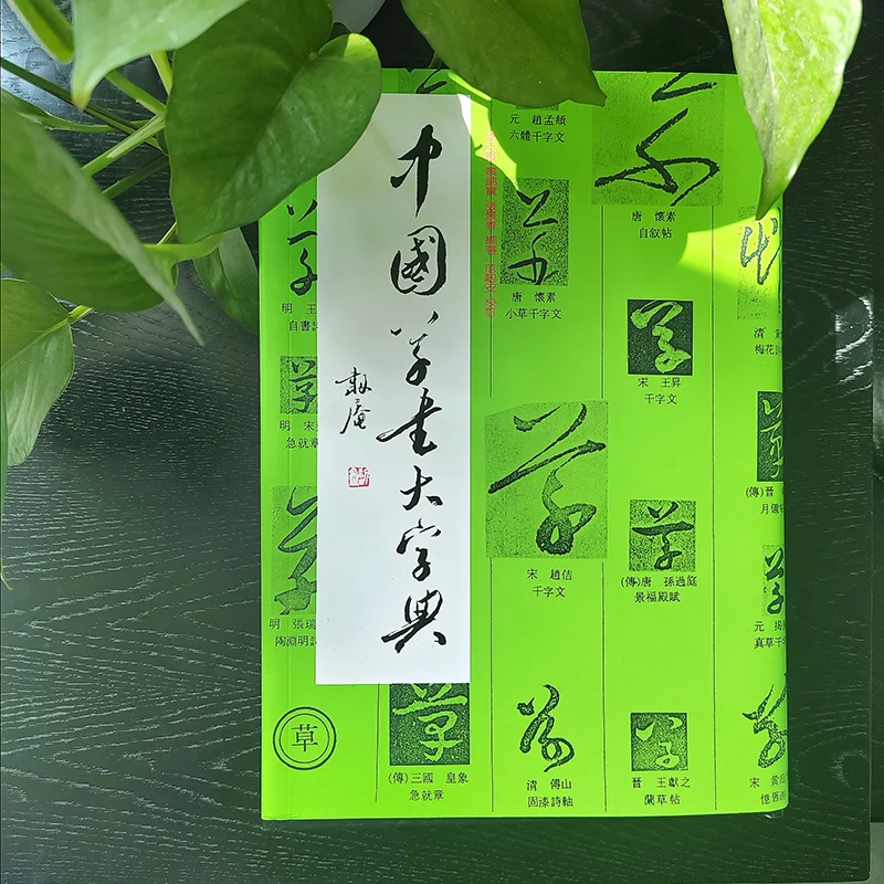 

The Comprehensive Dictionary of Chinese Cursive Script: Master Cao Shu Character Styles