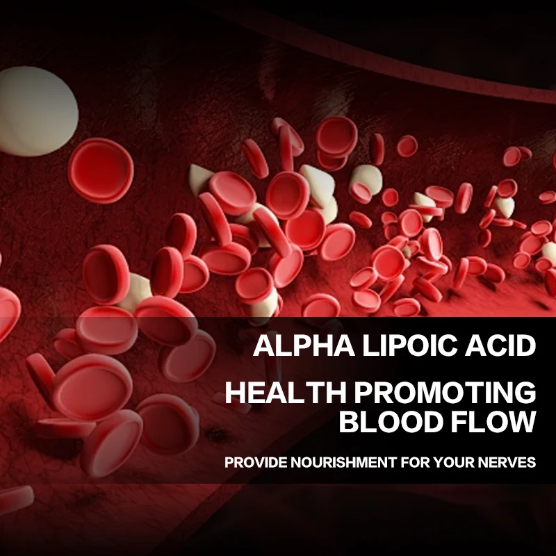 Acide alpha-lipoïque 600 mg, favorise l'anti-continuité, la santé des fourmis et le métabolisme du sucre