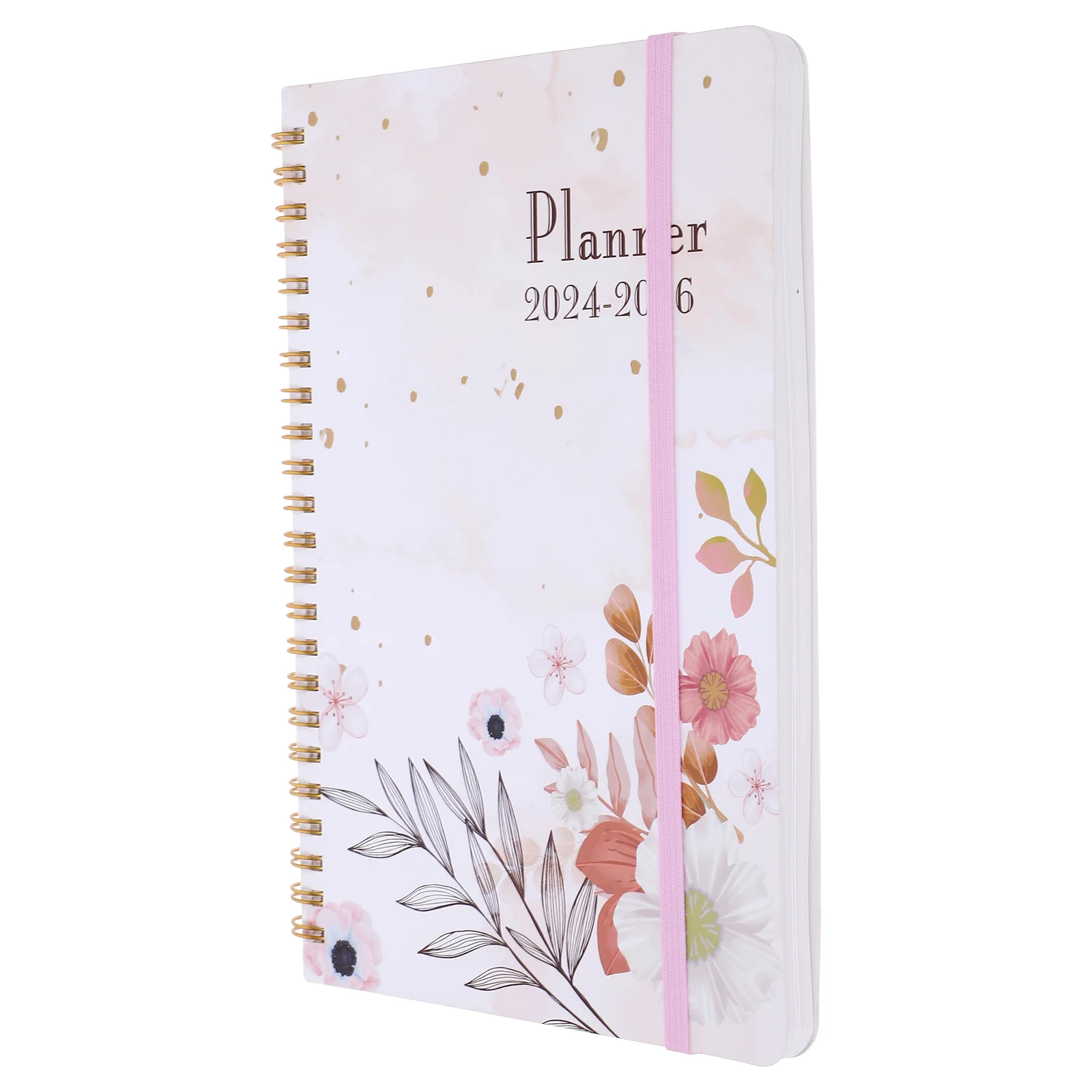 Filling Financial Planner Account Book Calendar 2024-2026 Mother Work Notepads Notebook Academic Money Budgeting