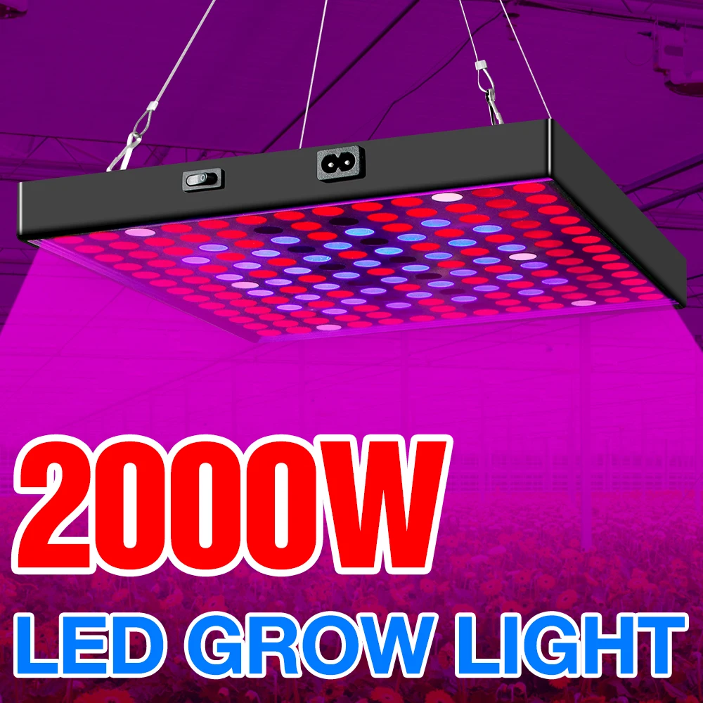 LED 200V Grow Light Full Spectrum Indoor Plants Growing Led Bulb Hydroponic Grow Lamp 2000W Lighting Flower Greenhouse Seedling