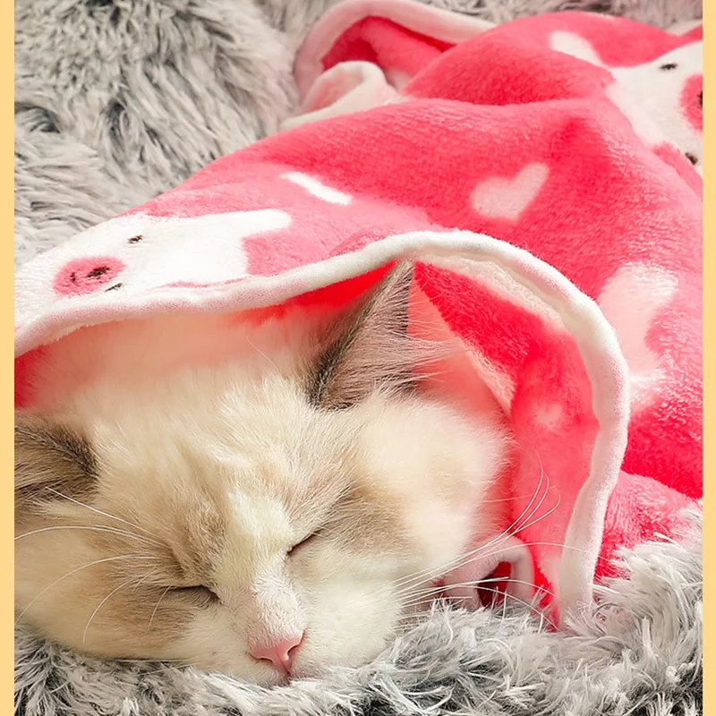 Pet Blanket Soft Fluffy Winter Warm Dog Bed Sheet Cat mat summer Breathable Comfortable cute dog Cat Cover Blanket Pet Supplies