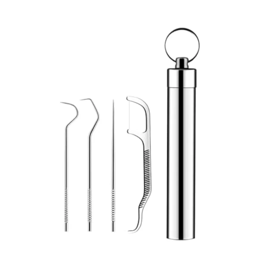 Toothpicks Holder Stainless Steel Modern Toothpick Dispenser Silver Portable Dental Kits