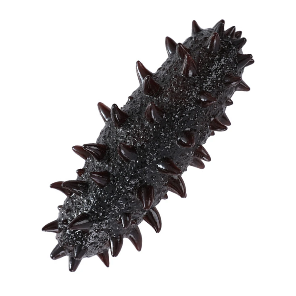 

Artificial Sea Cucumber Decor Lifelike Food Model Toys Realistic Display Props Home Office Educational