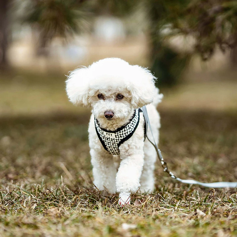 

Dog Leash Harness for Small Medium Dogs Adjustable Chest Vest Strap Breathable Dog Walking Leash Set Pet Outdoor Supplies