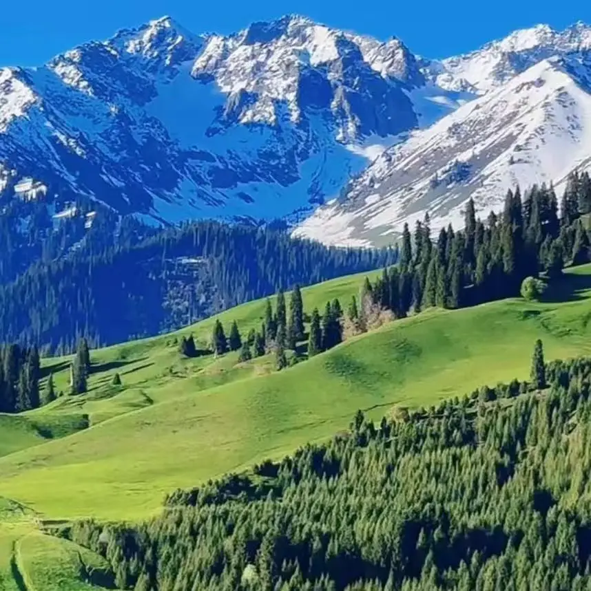 الأكسجين ترطيب الجلد جهاز تجميل Hydrodermabrasion تقشير المياه التطهير العميق تقشير جهاز تجميل الوجه