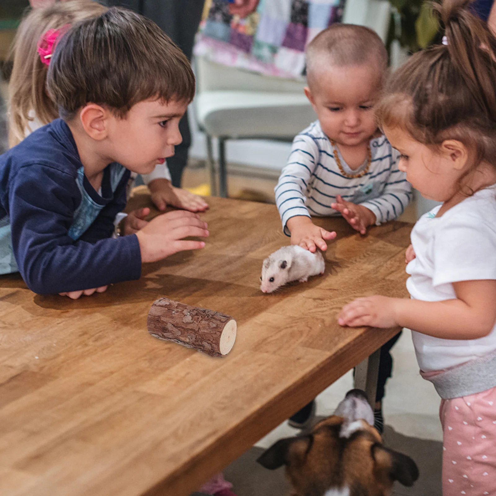 

4Pcs Hamster Cage Wood Stump Rustic Natural Mini Tree Stump Decor Small Pet Habitat Ornament Small Pet Accessories