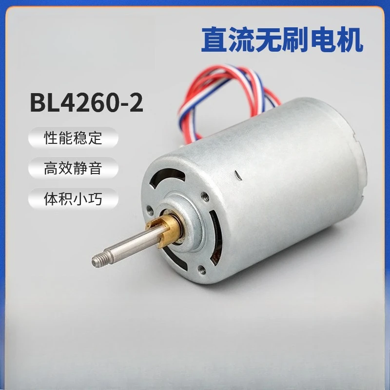BL4260-2 DC Brushless Motor, 12V/24V Silent Mini Motor for Lawn Mowers, Electric Valves and Intelligent Robots