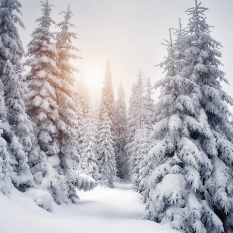 

Remote control car tires 1:8 General climbing vehicle off-road vehicle wheel modified long accessories 150MM