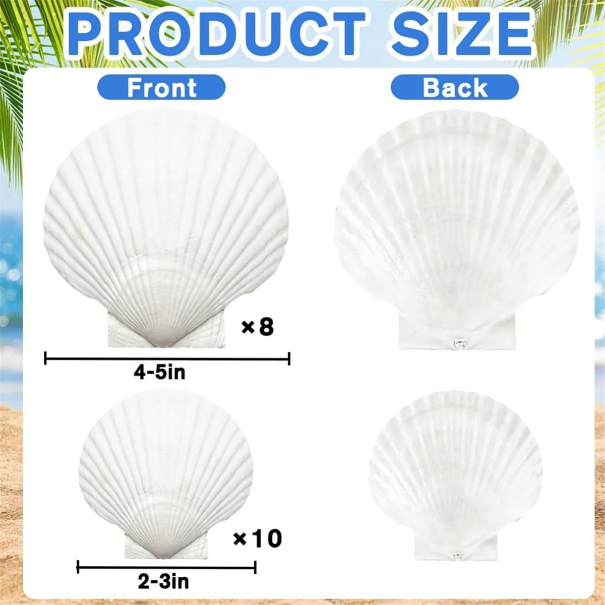 

BAAQ 18 шт. натуральные ракушки с гребешком, белые ракушки оптом для поделок DIY живопись выпечка и океан летний пляж свадьба дом