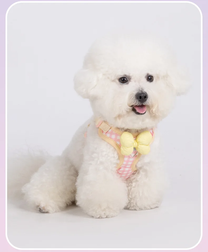 Thumbnail 3 - #75 Discounted Puppy Harnesses Worth Buying