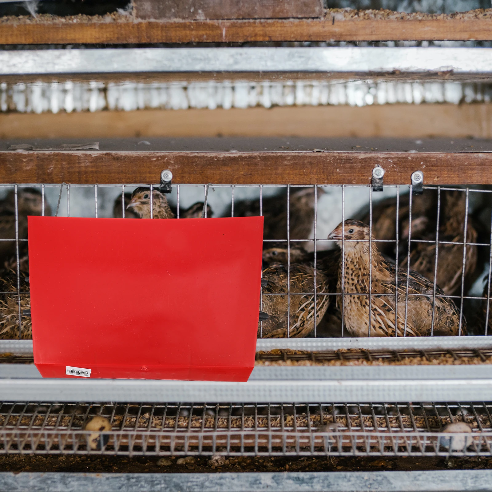 

Automatic Feeding Box For Quail Chicken Pigeon Durable Plastic Food Container With Hook Ladder Design Large Capacity Easy Clean