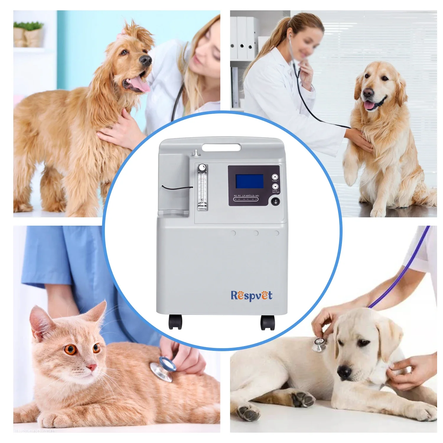 Veterinary medical equipment therapy for animal pets