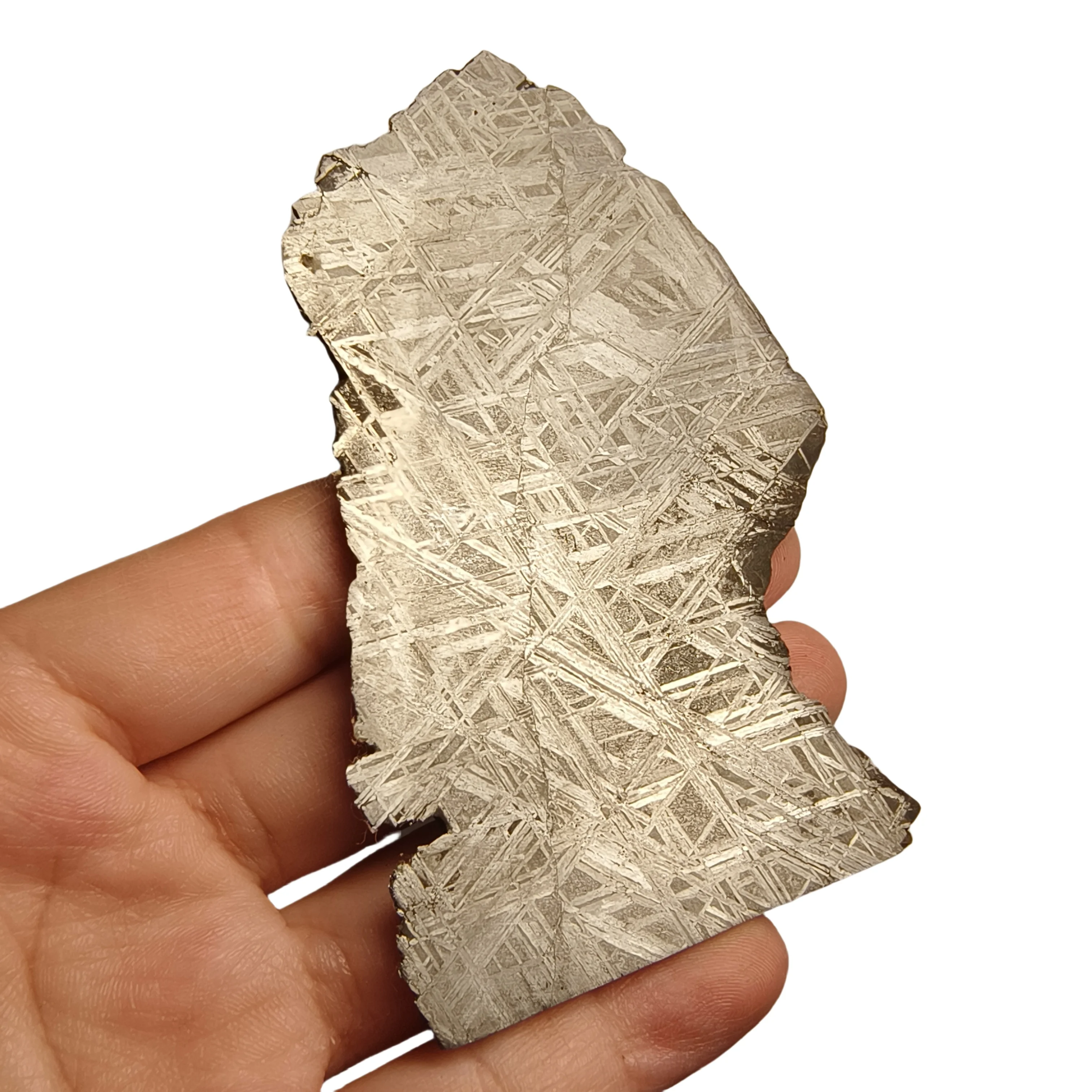 131.8g Namibian Gibbon Iron Meteorite G Iron Ore Section Specimen Slices Collectable and Processable -QC784