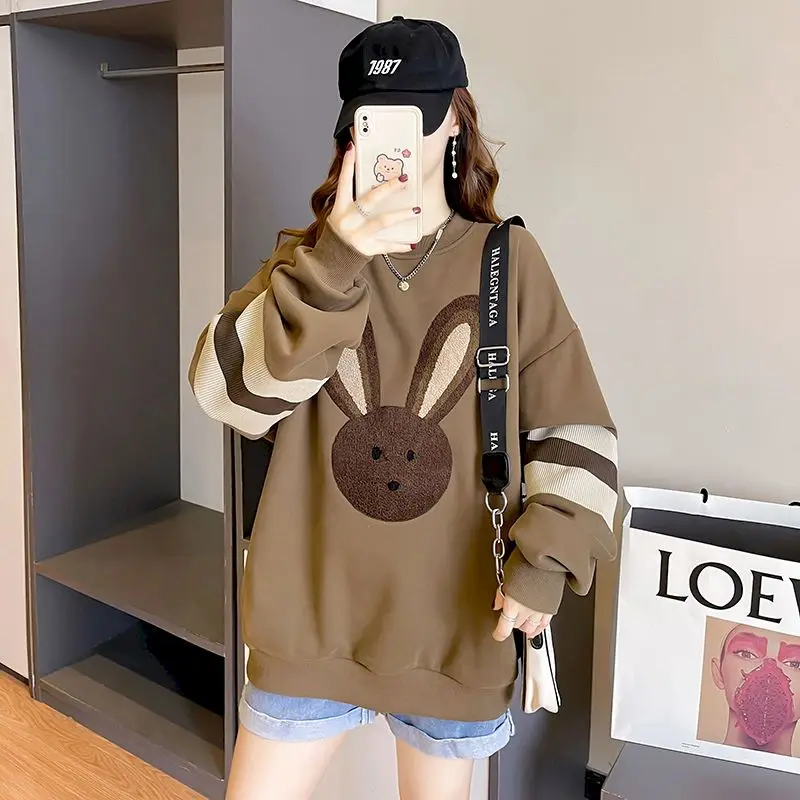 Peluche ispessito o-collo pullover top donna autunno inverno trendy pullover kawaii cappotto felpa casual allentata stile coreano y2k