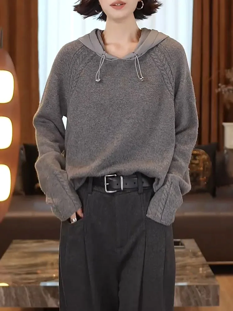 

Трикотажный свитшот с капюшоном в корейском стиле, универсальный, премиум-класса, женский топ больших размеров, осенняя новинка