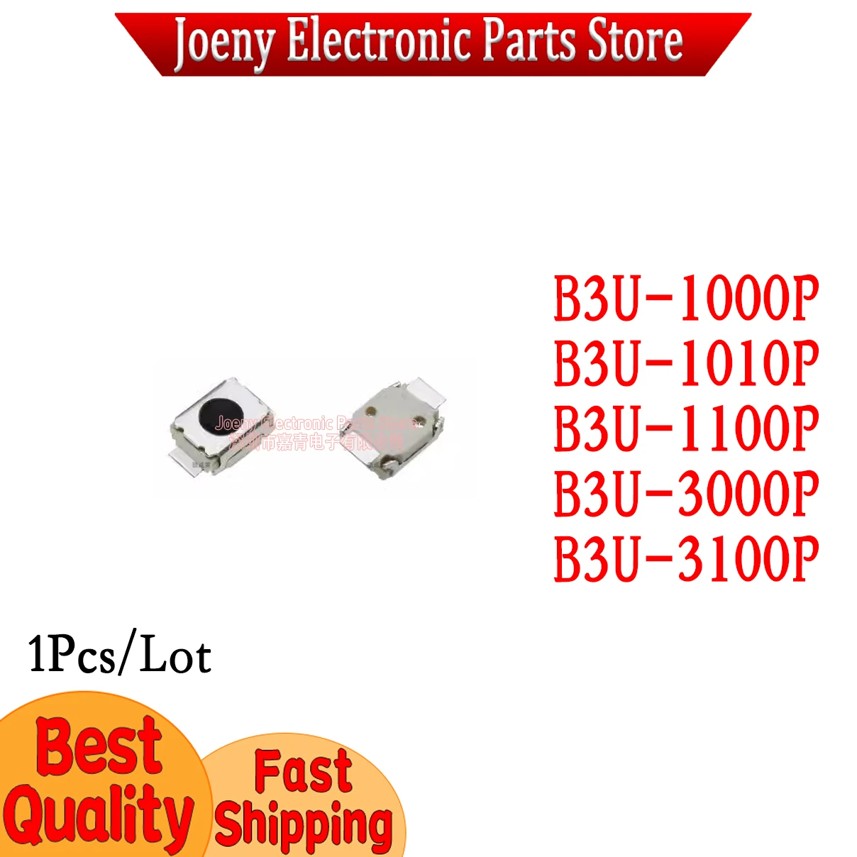 

B3U-1000P B3U-1100P B3U-1010P 3000P 3100P