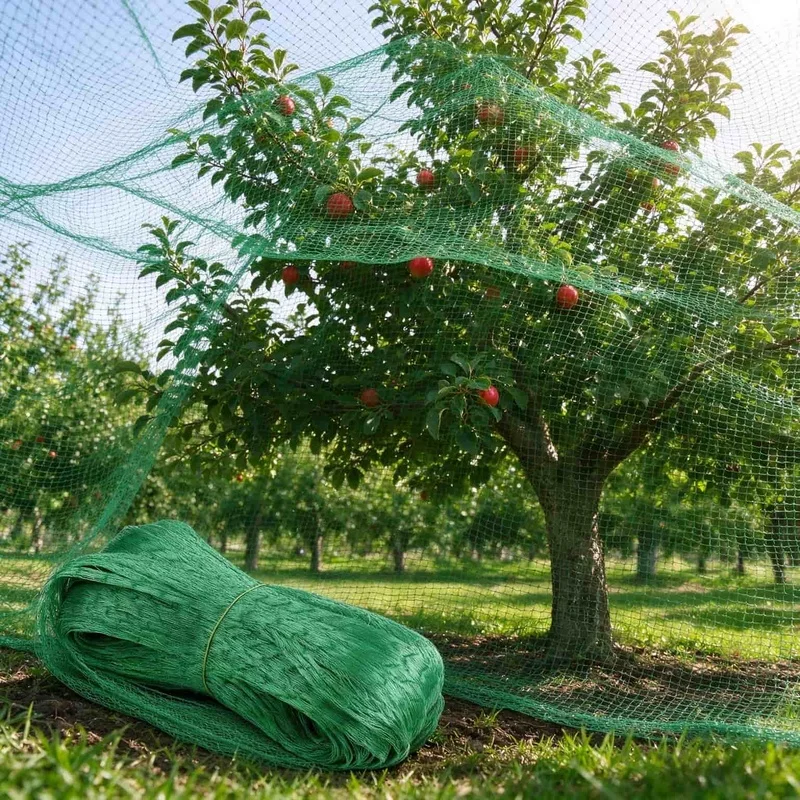 Specialized garden protective netting for vegetables and flowers, featuring a mesh design to deter birds and insects1Bird-proof
