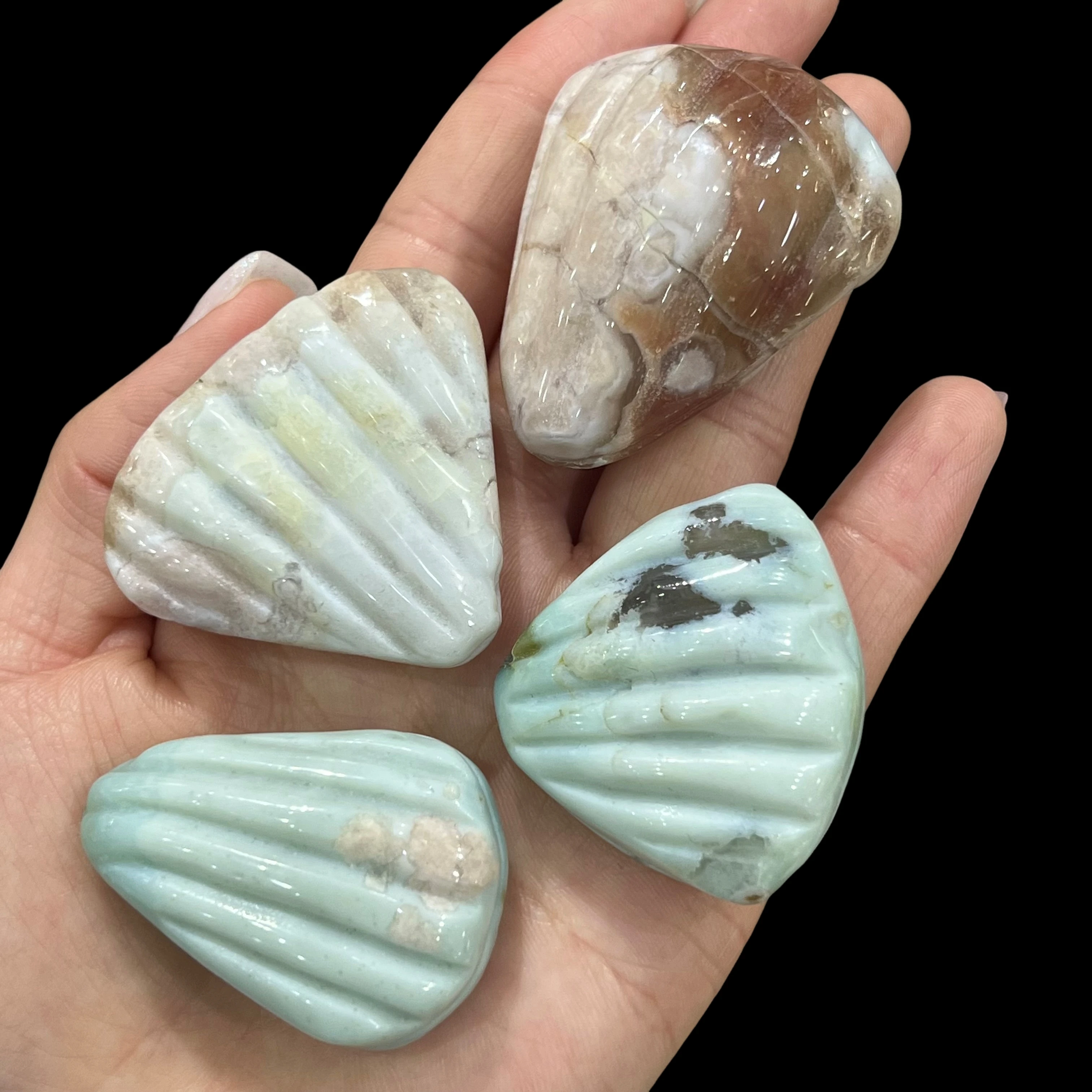 Natural Green Cherry Agate, Shell Shape, Unique Gift Mineral Collection, Healing Energy Stone