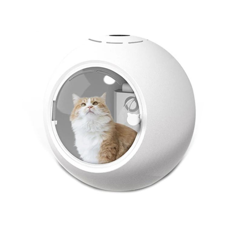 

Cat Clean Up Products automatic pet grooming tool dog cat pet hair dryer vertical standing pet dryer holder