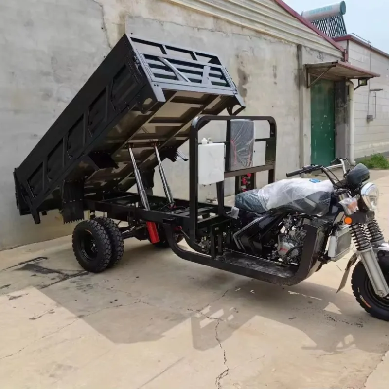 High-Capacity Gas-Powered Three-Wheeler Spacious for Passengers and Cargo Tricycle Electric Tricycle Stainless Steel Three Wheel