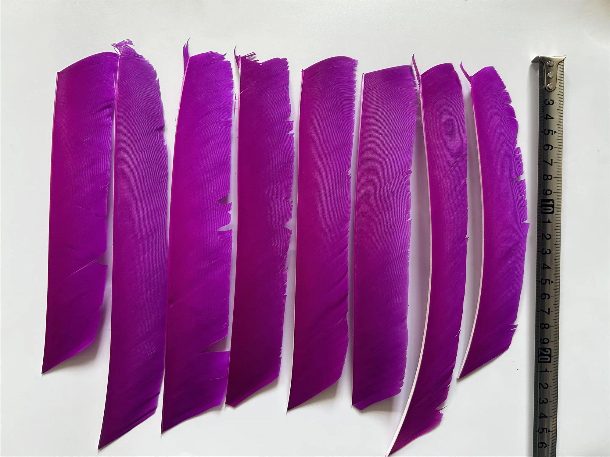 50Pcs Natural Feather Long Feather Fletching Arrow Feathers Multicolor Full length Real Turkey Feather NO Cut