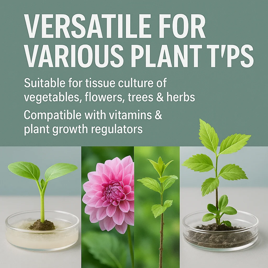 MS Plant Culture متوسطة جاهزة للاستخدام مسحوق لنمو النباتات لزراعة الأنسجة النباتية
