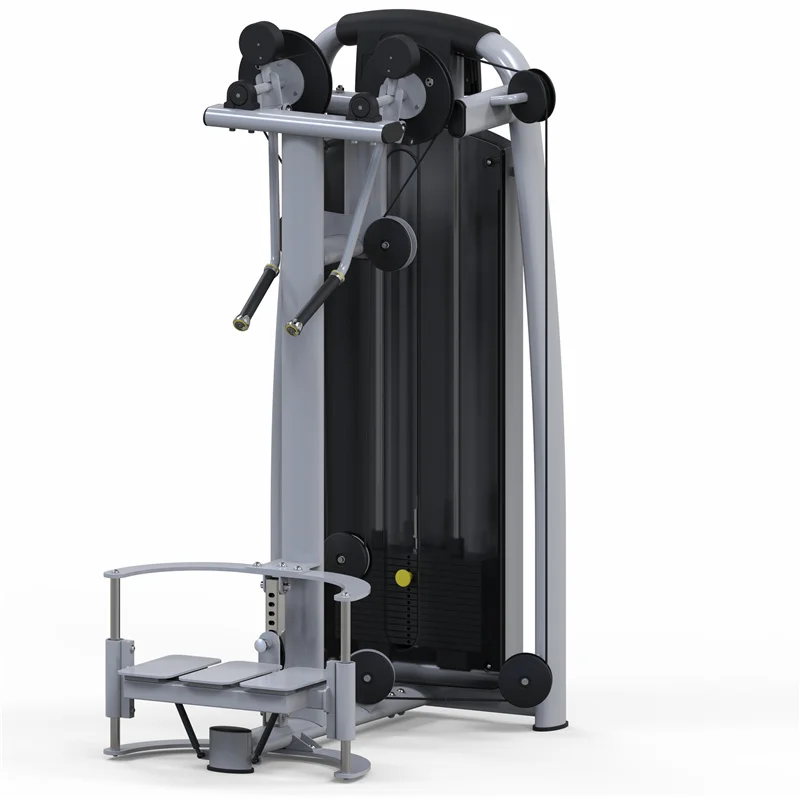 Discounted Price Commercial Use Fitness Machines Gym Equipment Standing Rear Delt