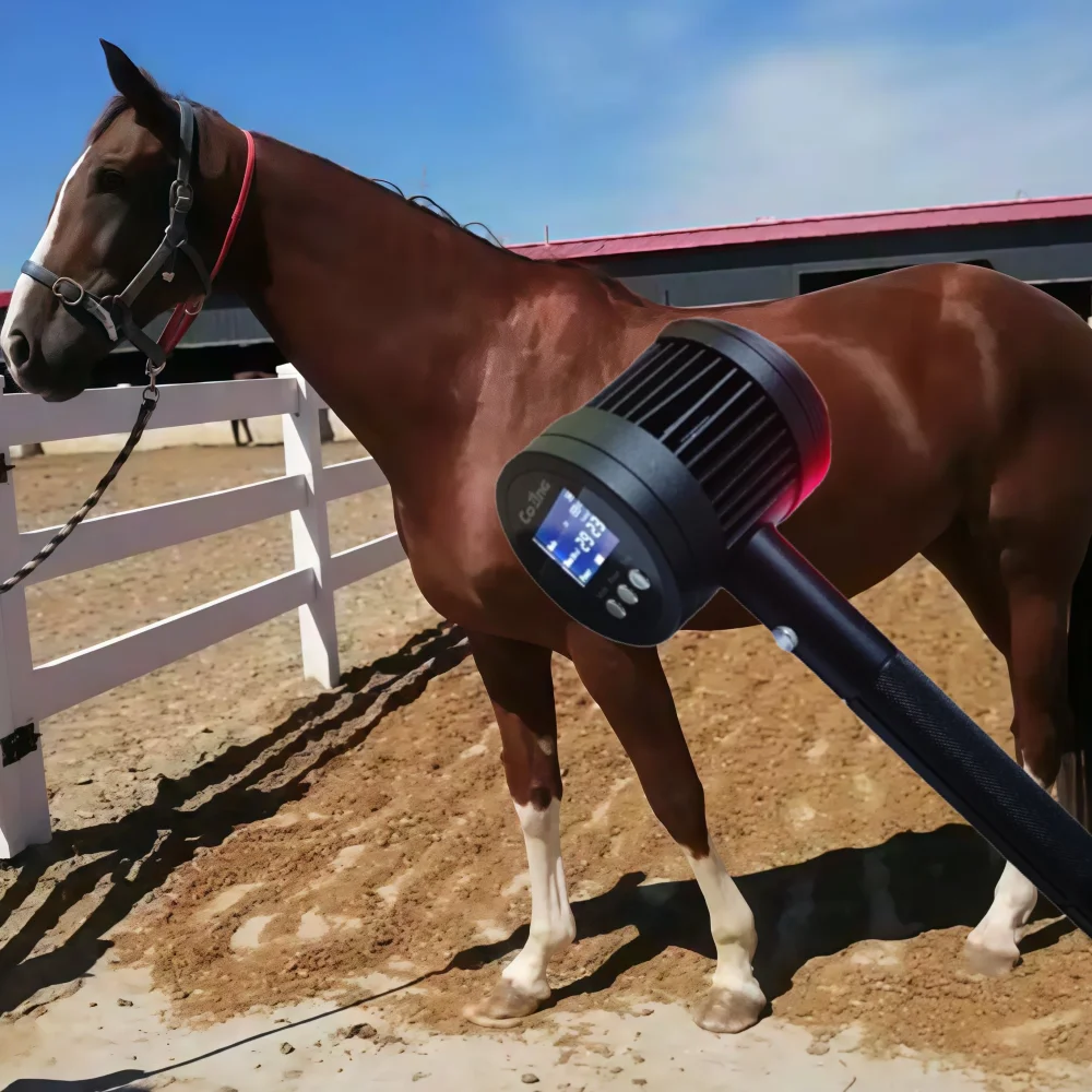 

Professional Equine Laser 650nm 808nm Dual Wave for Deep Tissue Tendonitis Swelling Recovery