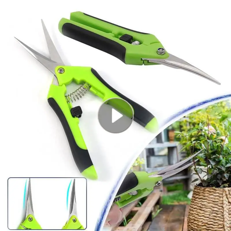 

Garden Pruning Shears Stainless Steel Pruner Fruit Picking Secateurs Potted Weed Pruning Scissors Straight Elbow Pruning Tools