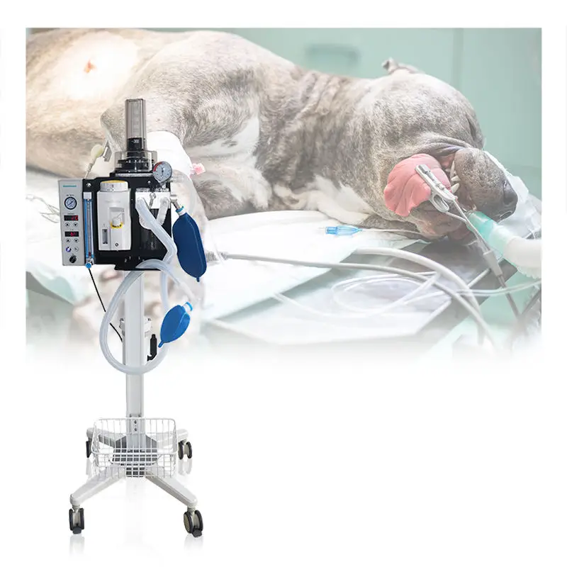 Professional  Anaesthesia Equipment Trolley for Animal Hospitals Veterinary Anesthesia Ventilator for Animal Use
