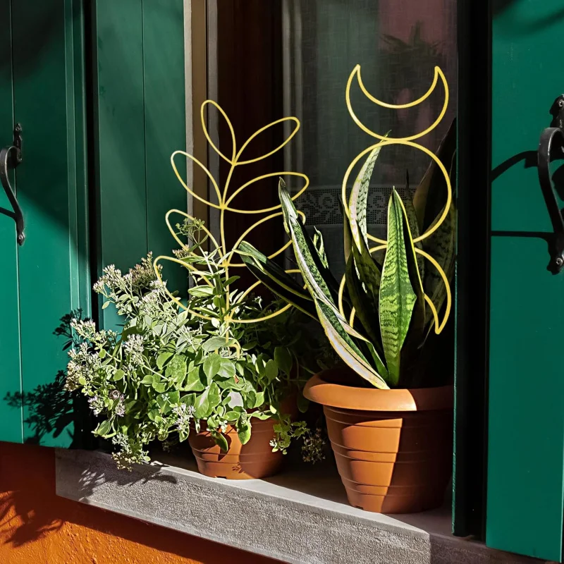 Treliça de planta maior de 23 polegadas para escalada interna, plantas em vasos com laços, suporte de metal Ho