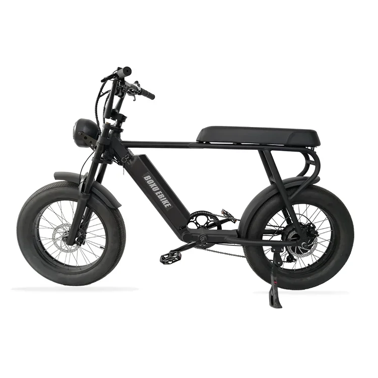 Elektrische fiets dwumiejscowy rower elektryczny byke e bike potężny elektryczny rower rower elektryczny rower elektryczny fatbike