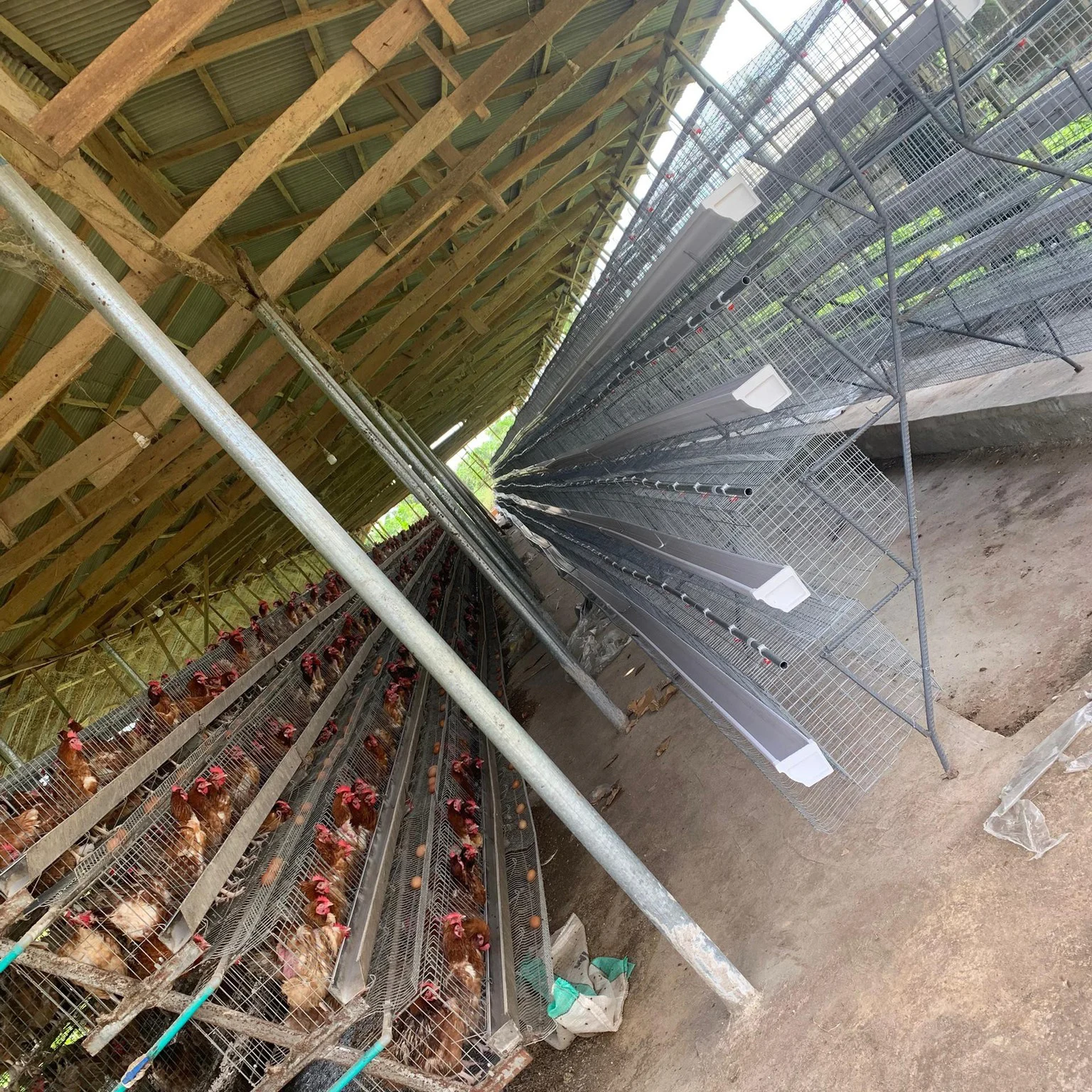 Hot Galvanized a Style Layer Cage, 3/4 Tier Structure Large Interior Space Egg Laying Cage Suitable for African Farm Projects