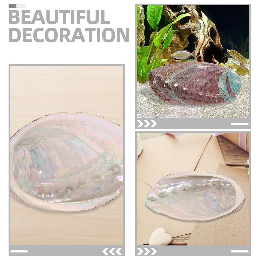 

Aromatherapy Holder Natural Abalone Shell Bowl For Burning Container Decor Craft Household Shell Aromatherapy Stand Burner
