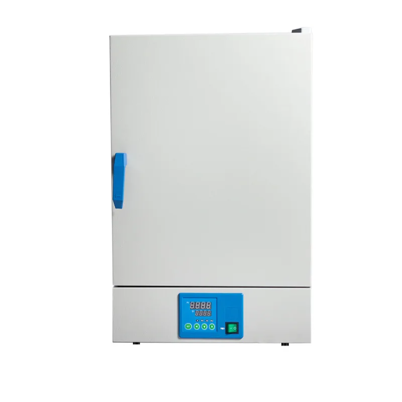 Stainless Steel Natural Convection Oven RT+10-200℃ Laboratory Drying Furnace