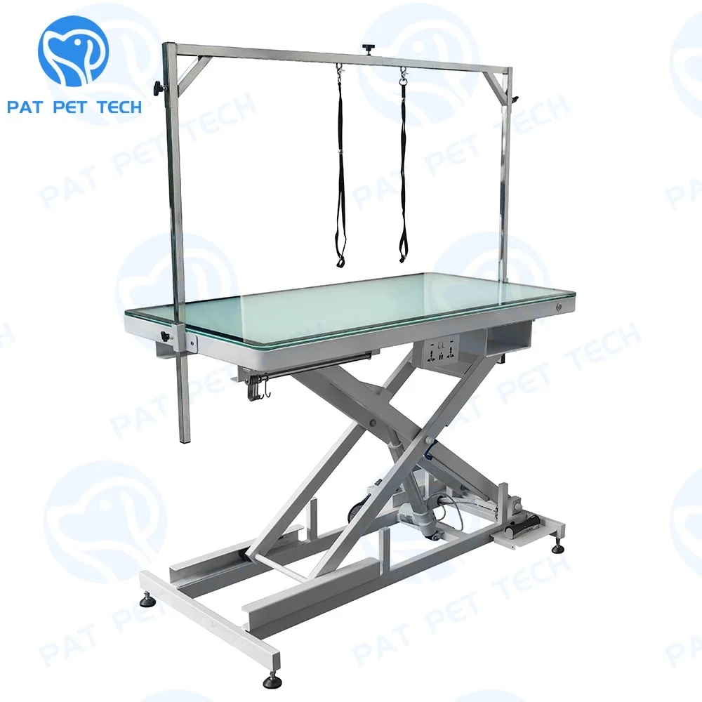 Led Design Grooming Station Electrical X Type Adjustable Cats Pet Grooming Table for Large Dogs