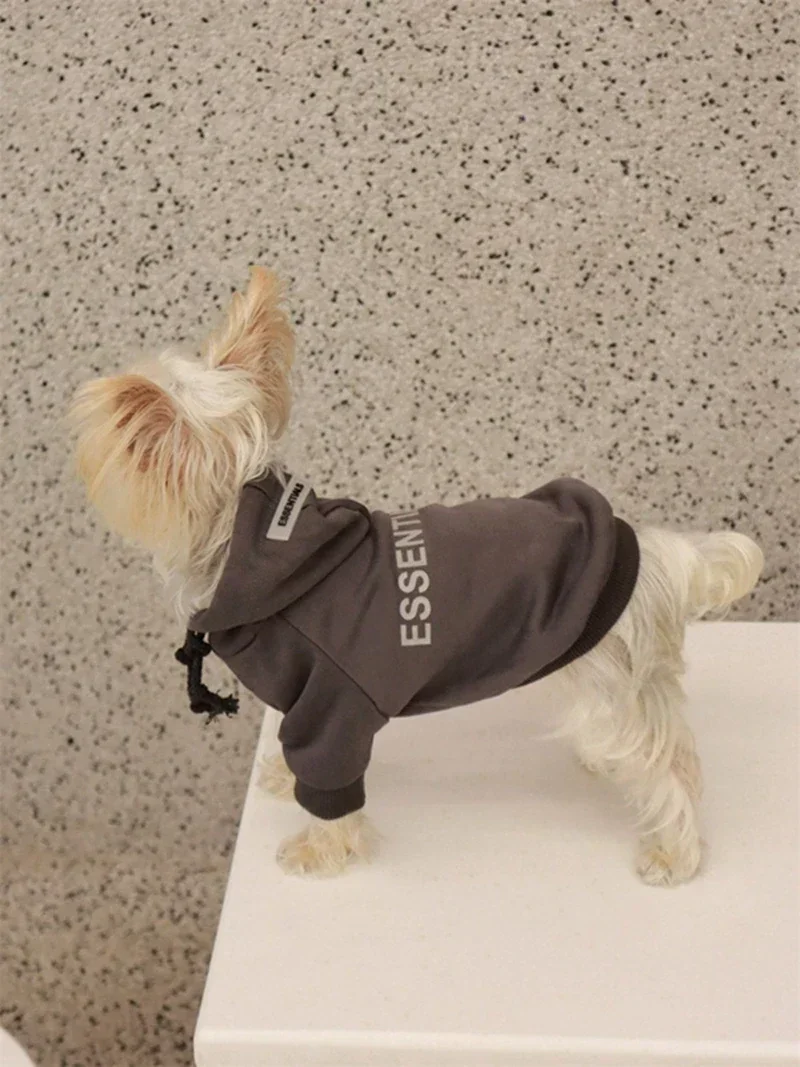 Dog Hoodies Letter Fleece Lined Designer Dog Clothes Puppy Sweatshirt Soft Warm Sweater Clothes for Small Dogs Poodle Maltese