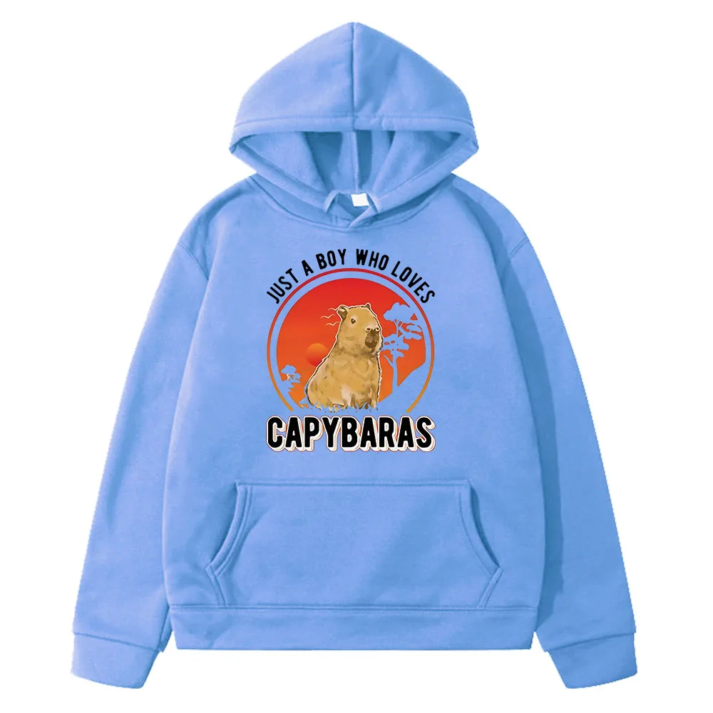 Capybara kids Hoodies Cartoon sweatshirts anime hoodie girls boys clothes y2k sudadera Autumn Fleece pullover Children clothing