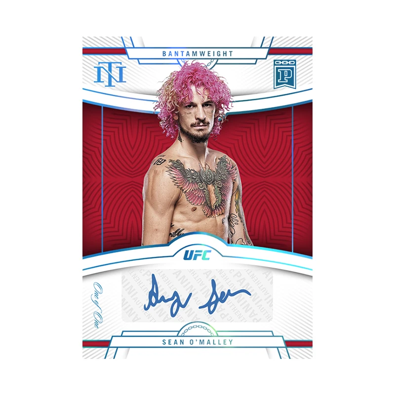 Panini UFC National Treasures Series Diy Homemade Khabib Nurmagomedov Khamzat Chimaev Bo Nickal Collection Card Toys Gift - view 4