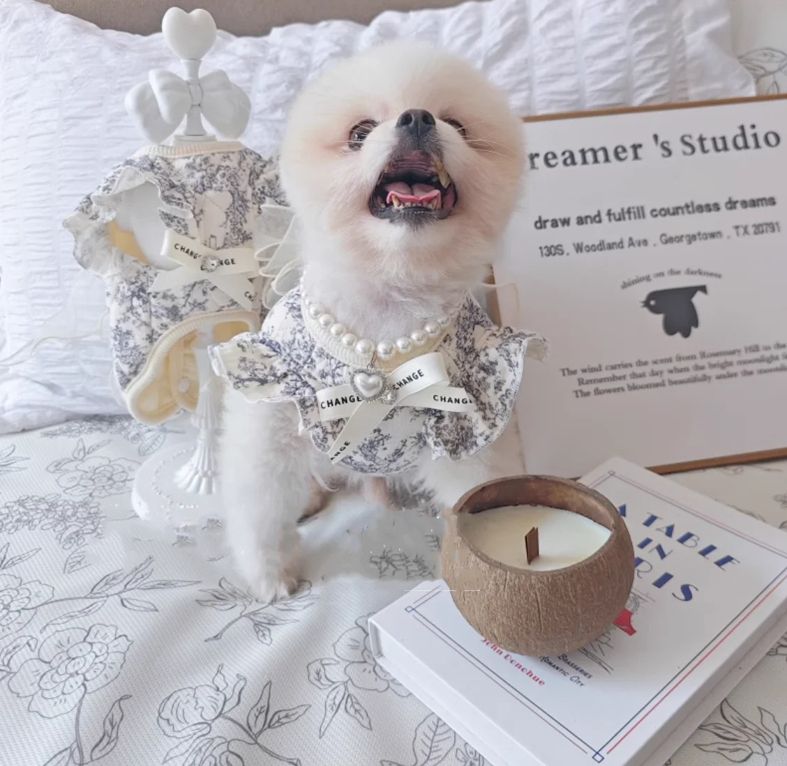 

Classic Printed Design Warm Cute Cotton Winter/Autumn Lace Bow Pet Dress Leash For Dog And Cat