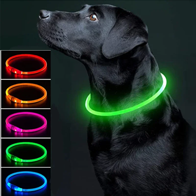 C LED Pet Dog Luminous Collar With USB Rechargeable Dog Necklace Collar Teddy Anti Lost Collar Dog Cat Accessories Supplies