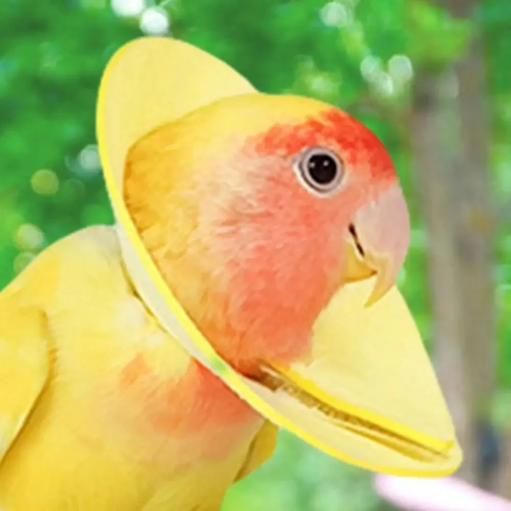 Anti Bite Bird Elizabethan Collar Soft Comfortable Fit Protective Cone Collar Breathable Neck Wearing Pet Elizabethan Collar