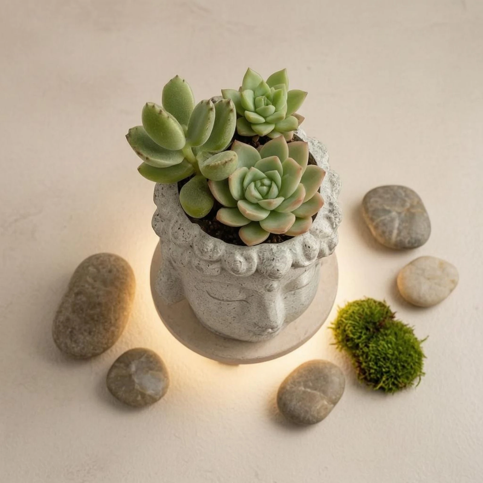 Buddha Head Plant Pot Closed Eyes Buddha-Head Planter Home Decor Decorative